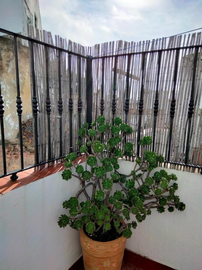 Casa Vista Villa Alcala de los Gazules Ngoại thất bức ảnh