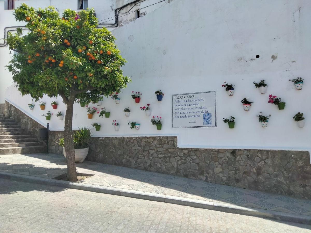 Casa Vista Villa Alcala de los Gazules Ngoại thất bức ảnh